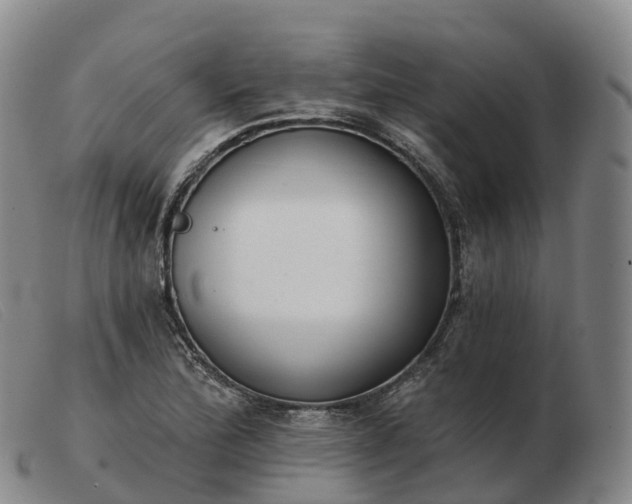 X0000103461172200809191805