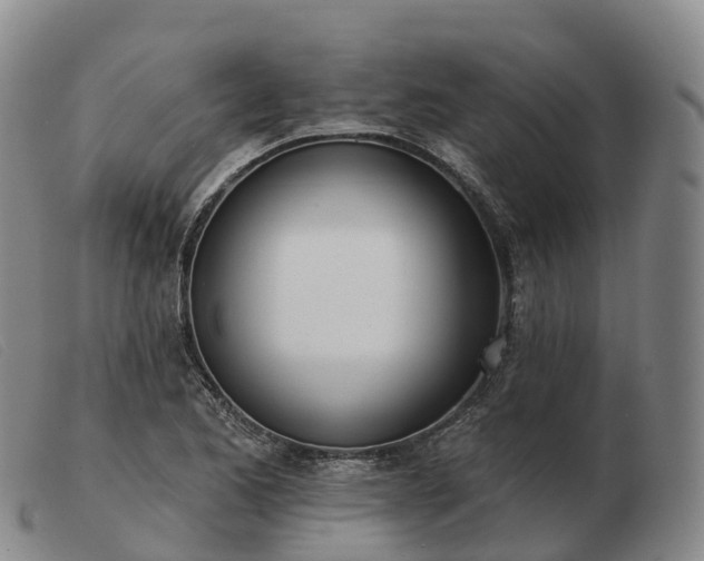 X0000103461173200809191805