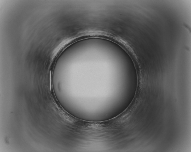 X0000103461175200809191805