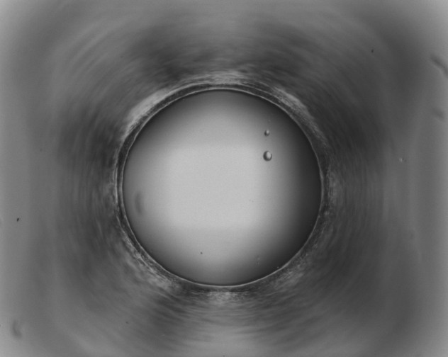 X0000103461176200809191805