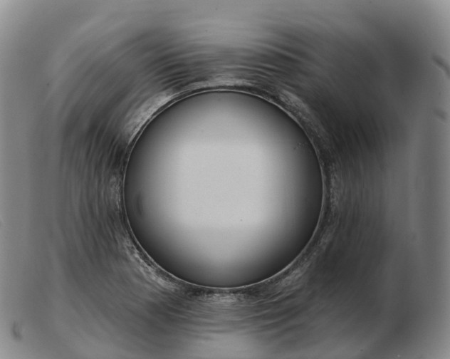 X0000103461177200809191804