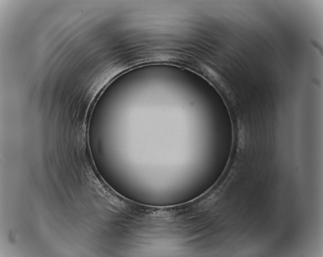 X0000103461178200809191804