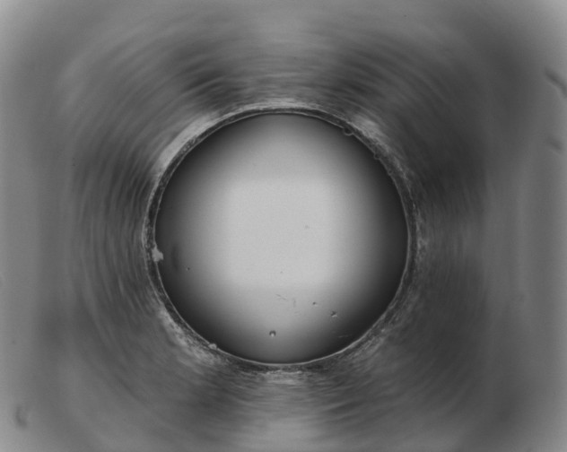 X0000103461181200809191804