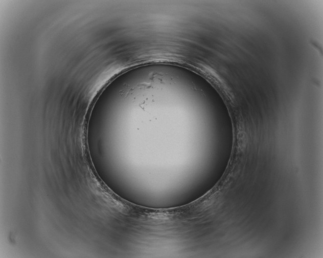 X0000103461182200809191804