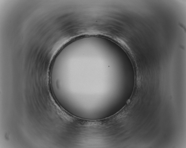X0000103461183200809191804