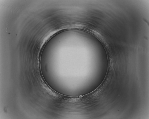 X0000103461184200809191804