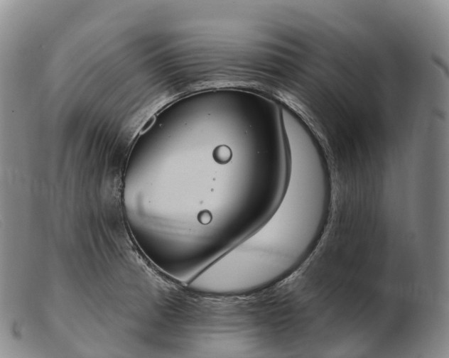 X0000103461185200809191804