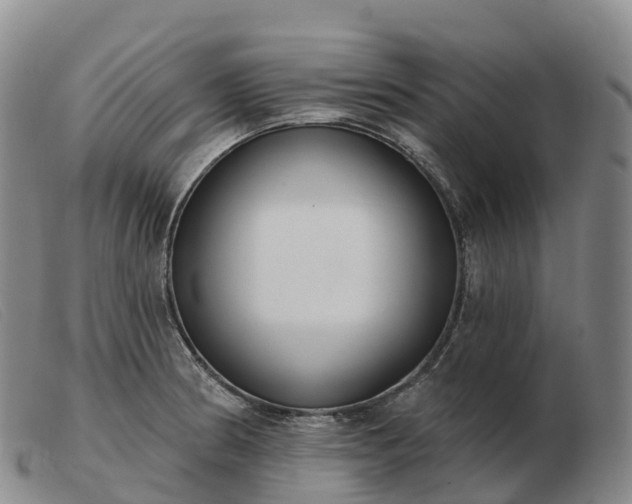 X0000103461186200809191804
