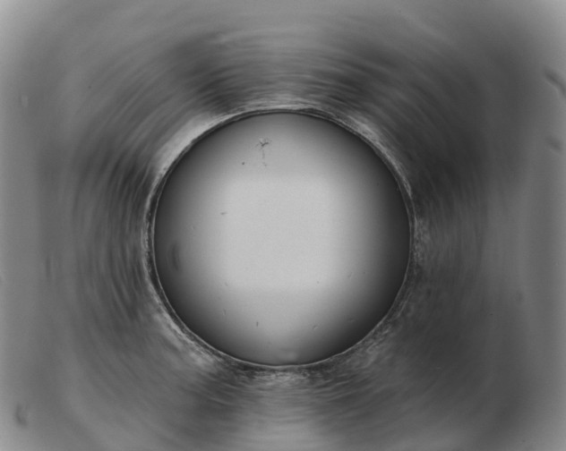 X0000103461187200809191804