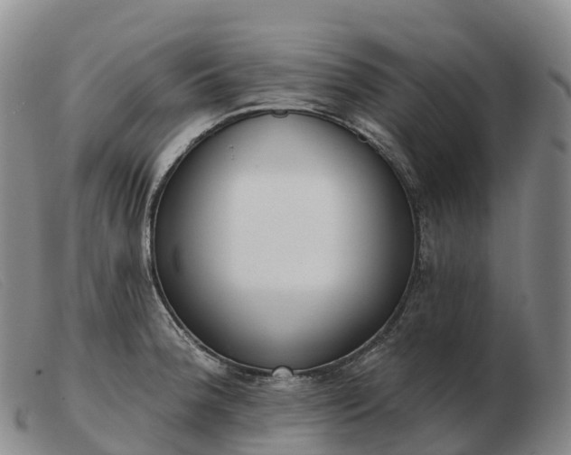 X0000103461188200809191804
