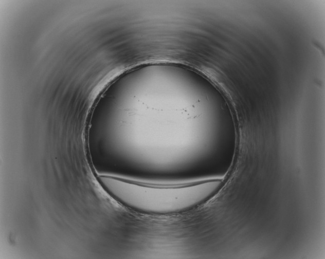 X0000103461189200809191804