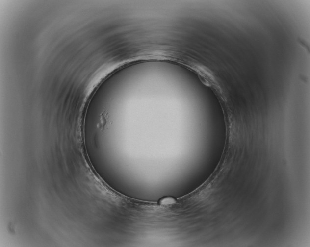 X0000103461192200809191804