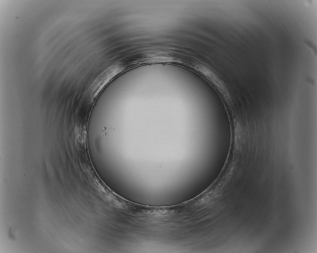 X0000103461193200809191804