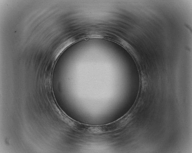 X0000103461194200809191804