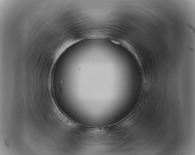 X0000103461195200809191804