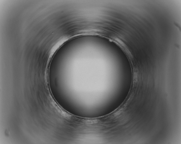 X0000103461196200809191804