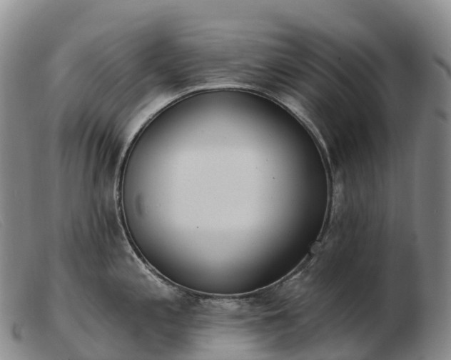 X0000103461197200809191804