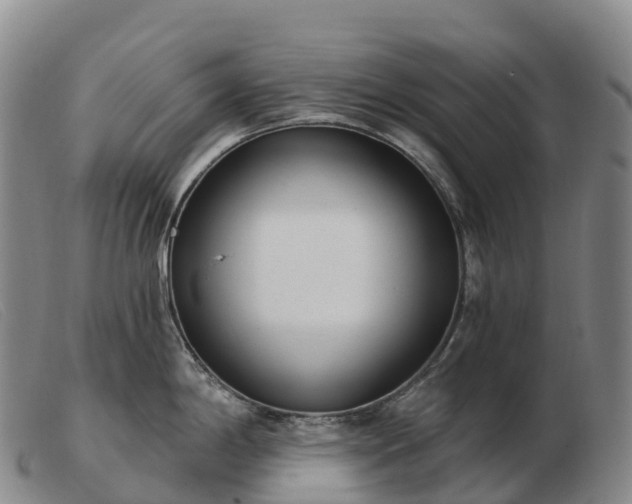 X0000103461198200809191804