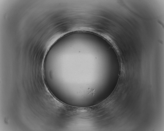 X0000103461199200809191804