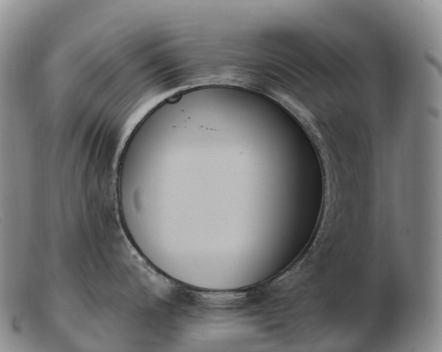 X0000103461200200809191804