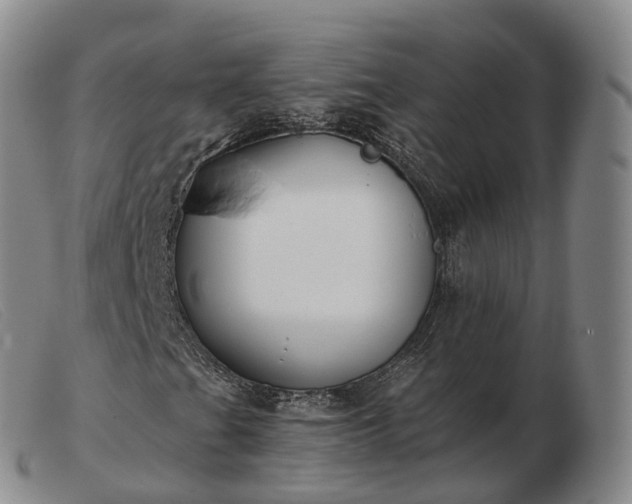 X0000103461201200809191803