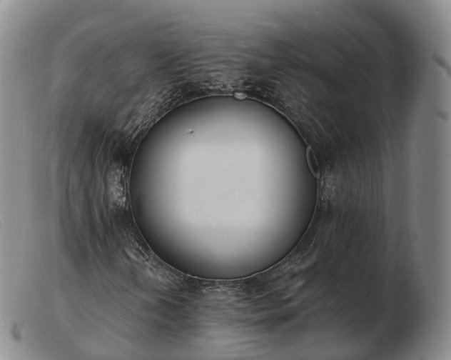 X0000103461202200809191803