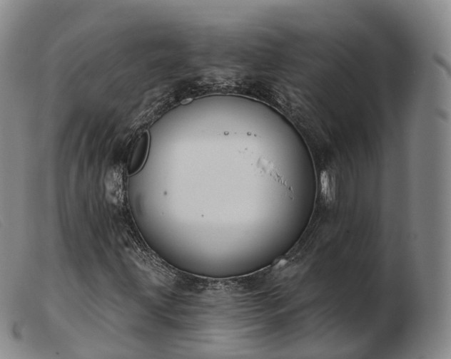 X0000103461203200809191803