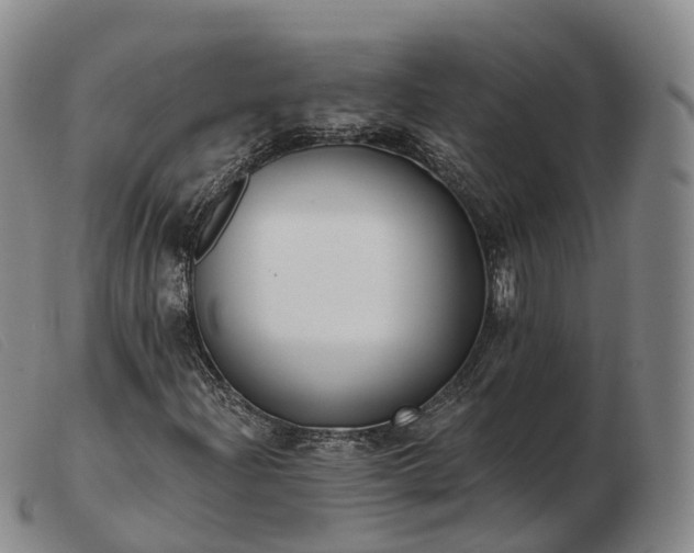 X0000103461204200809191803