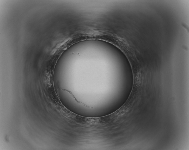 X0000103461205200809191803
