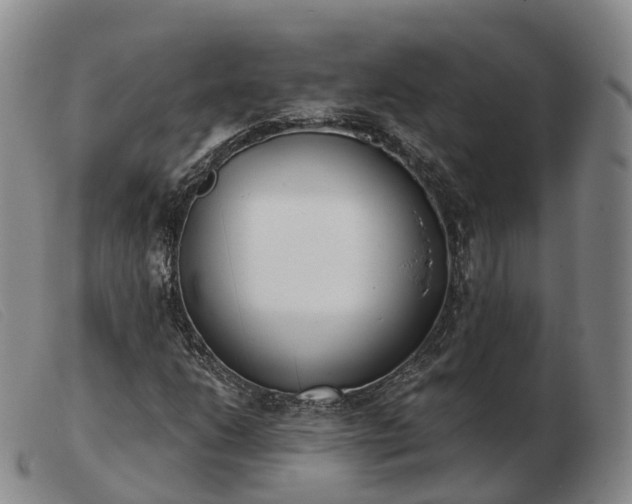X0000103461206200809191803