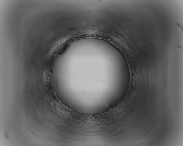 X0000103461207200809191803
