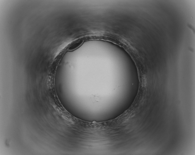 X0000103461208200809191803