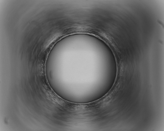 X0000103461211200809191803