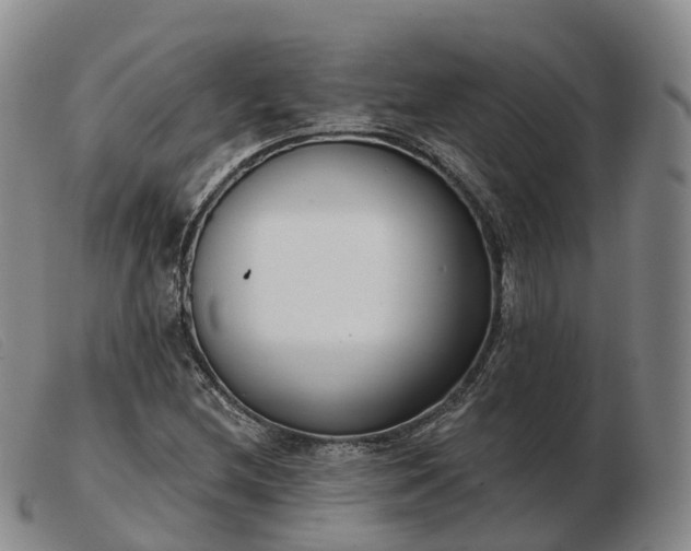 X0000103461212200809191804