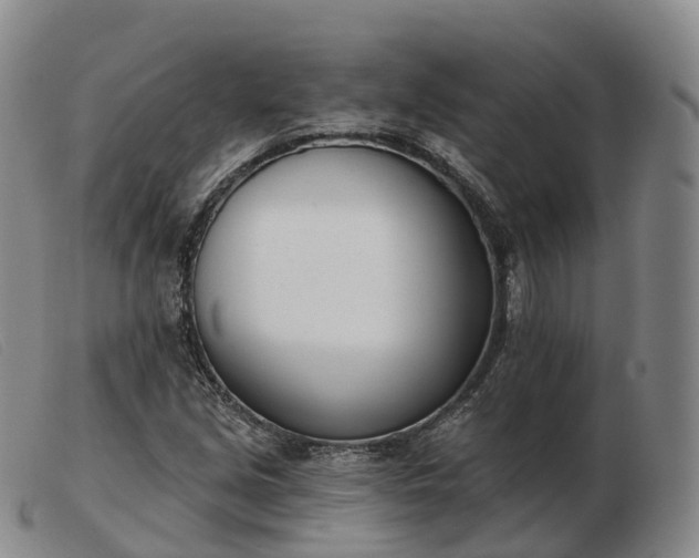 X0000103461213200809191804