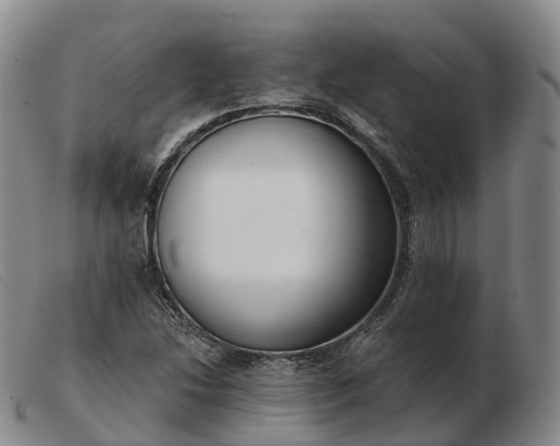 X0000103461214200809191804