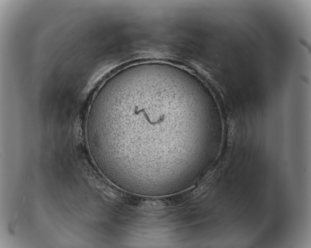 X0000103461215200809191804