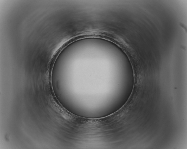 X0000103461216200809191804