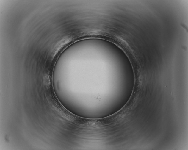 X0000103461218200809191804