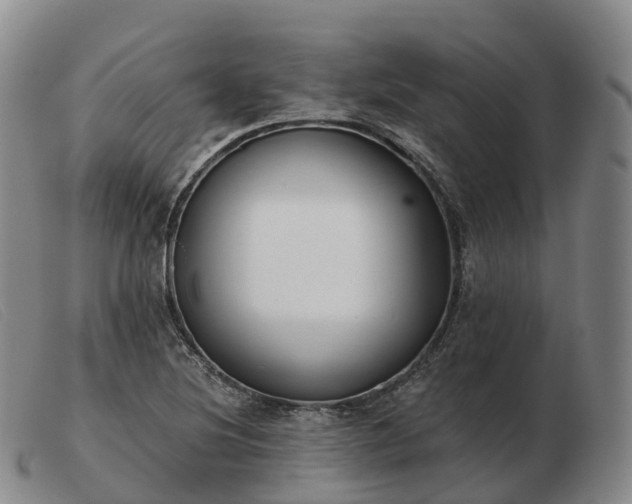 X0000103461220200809191804