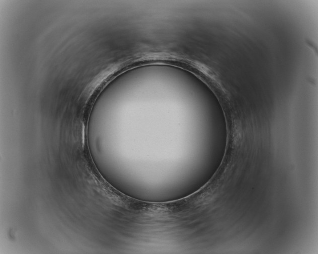 X0000103461221200809191804
