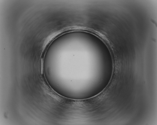 X0000103461223200809191804