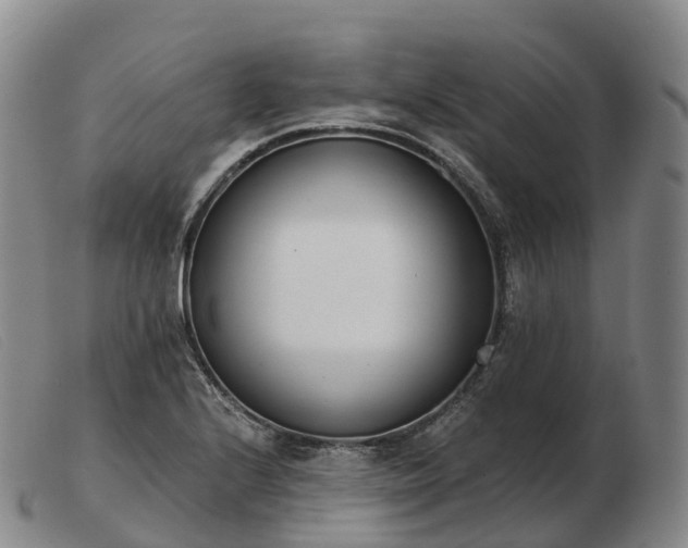 X0000103461224200809191804