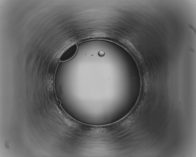 X0000103461225200809191804