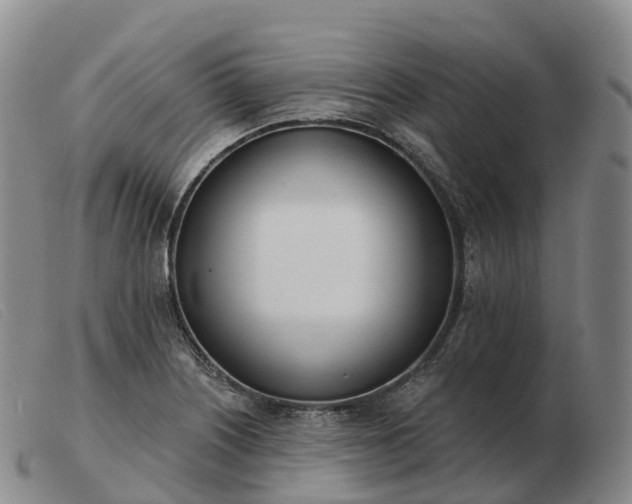 X0000103461226200809191804