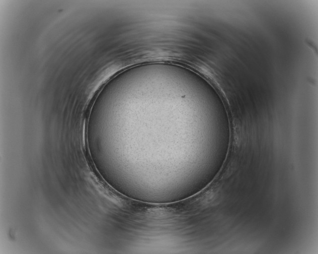 X0000103461227200809191804