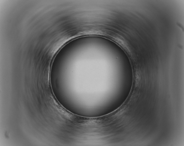 X0000103461228200809191804