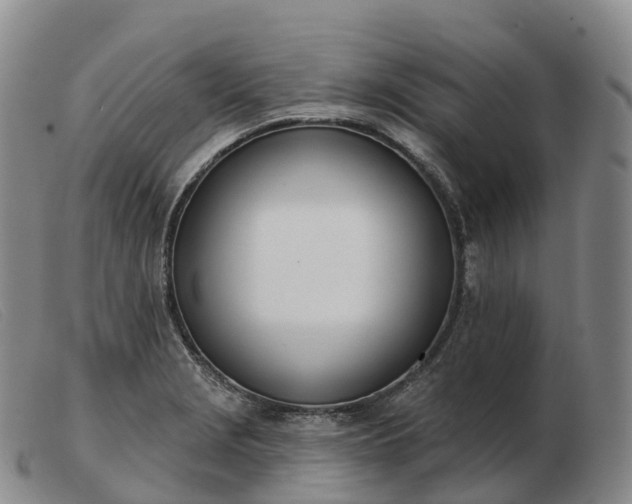 X0000103461229200809191804