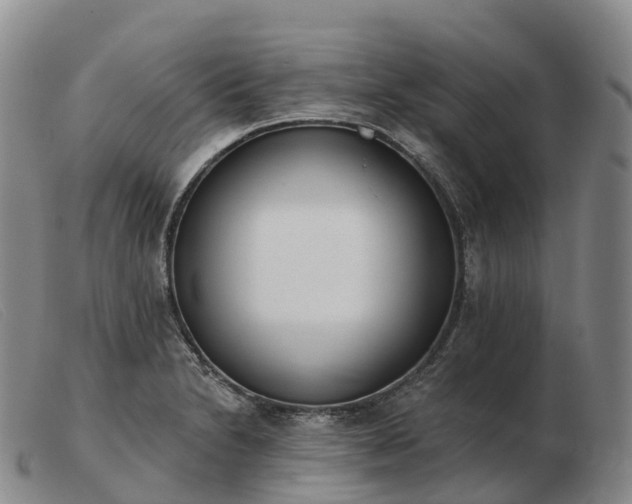 X0000103461230200809191804