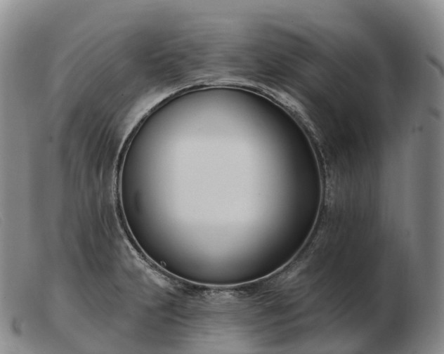 X0000103461231200809191804